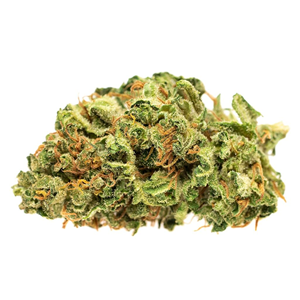 Good Supply JEAN GUY Sativa - 28 g